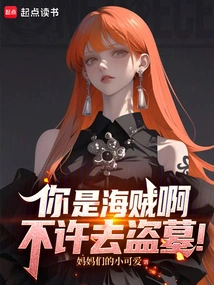 You Are a Pirate, You Are Not Allowed to Rob Tombs!