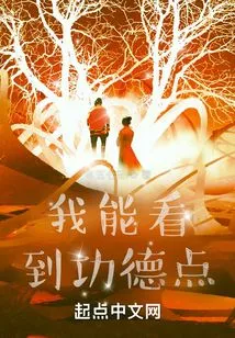 I Can See Merit Points