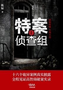 Special Case Investigation Team