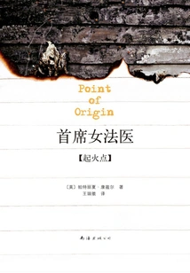 Chief Female Forensic Examiner 09: the Point of Origin of the Fire