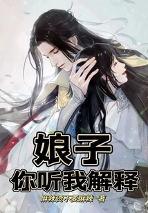 Madam, Please Listen to My Explanation!