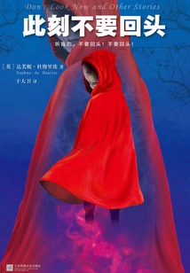 Don't Look Back Now (original Work of the Movie "venice")