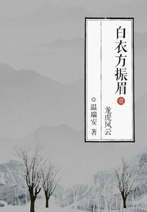 White Clothes Fang Zhenmei 1: Dragon and Tiger Storm