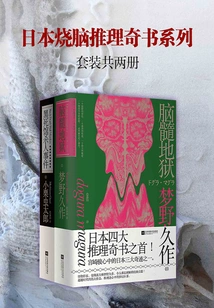 Japanese Brain-burning Mystery Book Series (set of 2 Volumes in Total)