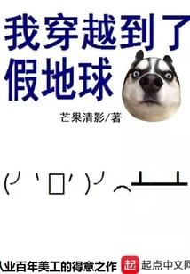 I Traveled to the Fake Earth