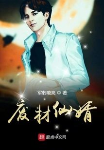 Good-for-nothing Son-in-law