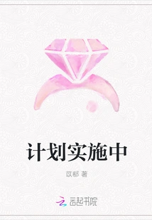 Plan is Being Implemented