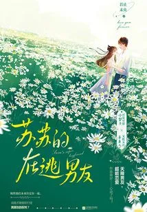 Su Su's Fugitive Boyfriend