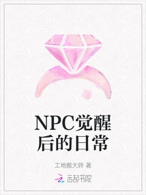 Npc's Daily Life after Awakening