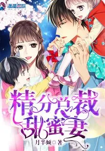 Sweet Ceo's Sweet Wife