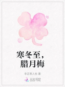 Winter Solstice, Twelfth Lunar Month Plum Blossoms
