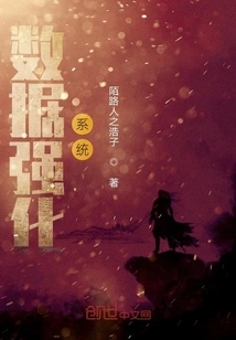 Data Enhancement System