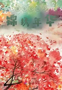 The Splendid Years of Rebirth Space