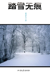 No Trace on the Snow