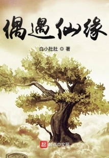 A Chance Encounter with a Fairy