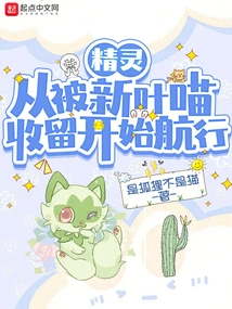 Elf: Sailing Since Being Taken in by New Leaf Cat