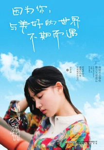 Because of You, I Met the Beautiful World Unexpectedly