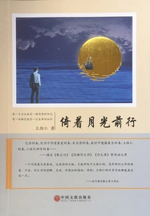 Walking by the Moonlight