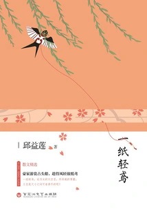 A Piece of Light Kite