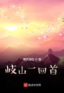 A Look Back at Qishan