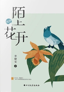 Flowers Blooming on the Street