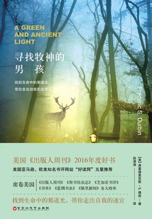 The Boy Looking for the Faun