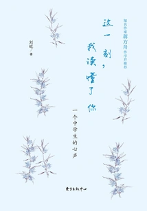 At This Moment, I Understand You: the Voice of a Middle School Student