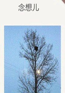 Nian Xiang'er (qianzhong Douban High-scoring Original Work·short Story)