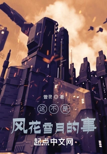 This is Not a Matter of Romance