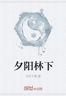 Sunset under the Forest