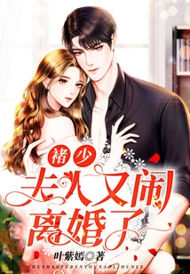 Mr. Chu, My Wife is Getting Divorced Again