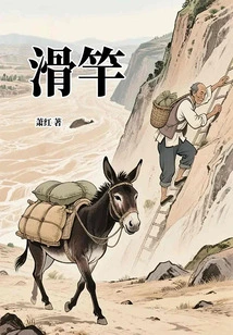 Slider (literary Classic by Famous Writers)