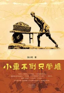 Don't Push the Car If it Falls Over