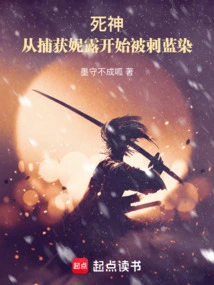 Death: Capturing Nellie Begins to Break the Defense Against Aizen