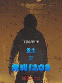 Rebirth My Name is 1208