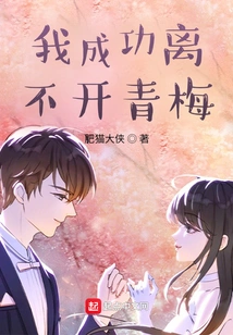 I Cannot Succeed Without Qingmei