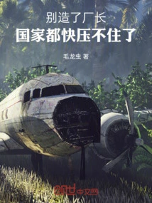 Don't Create a Factory Director! the Country Can Hardly Hold it Back