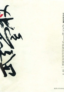 Warriors in Power: the Rules of the Game for Warlord Groups