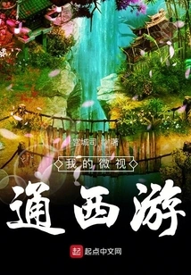 My Wechat Journey to the West