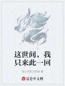 I Only Come Here Once in This World