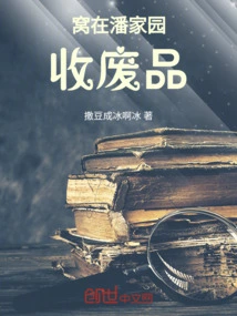 Collecting Waste in Panjiayuan