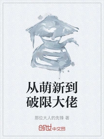 From Newbie to Limit-breaking Boss