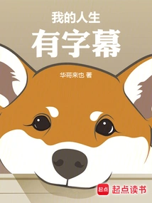 My Life Has Subtitles