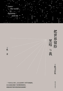 Leave the World to Darkness and Me: Ding Fan's Book Reviews