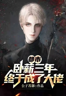 Metropolis: after Working Hard for Three Years, I Finally Became a Big Boss