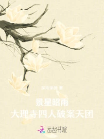 Jingxing Zhaoyu: Four Members of the Dali Temple Crime-solving Team