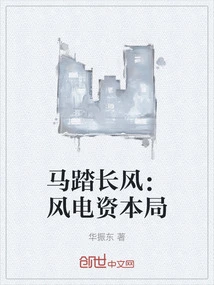 Horse Riding on the Wind: Wind Power Capital Bureau