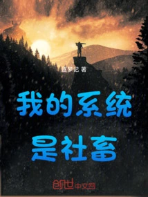 My System is a Social Animal