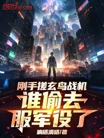 Just Rub the Blackbird Fighter Plane with Your Hands, Who Stole it to Serve in the Military?