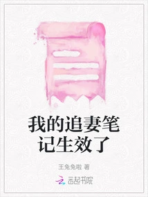 My Wife-chasing Notes Are in Effect